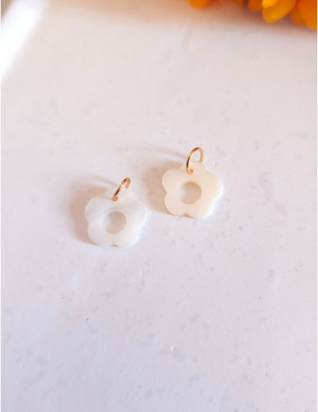 Pampilles interchangeable