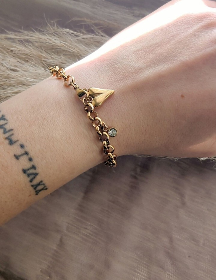 Bracelet Amalthée en acier inoxydable | Naphea